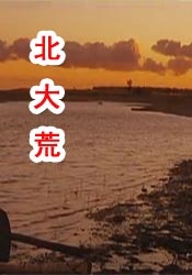 国产精品女上位在线观看